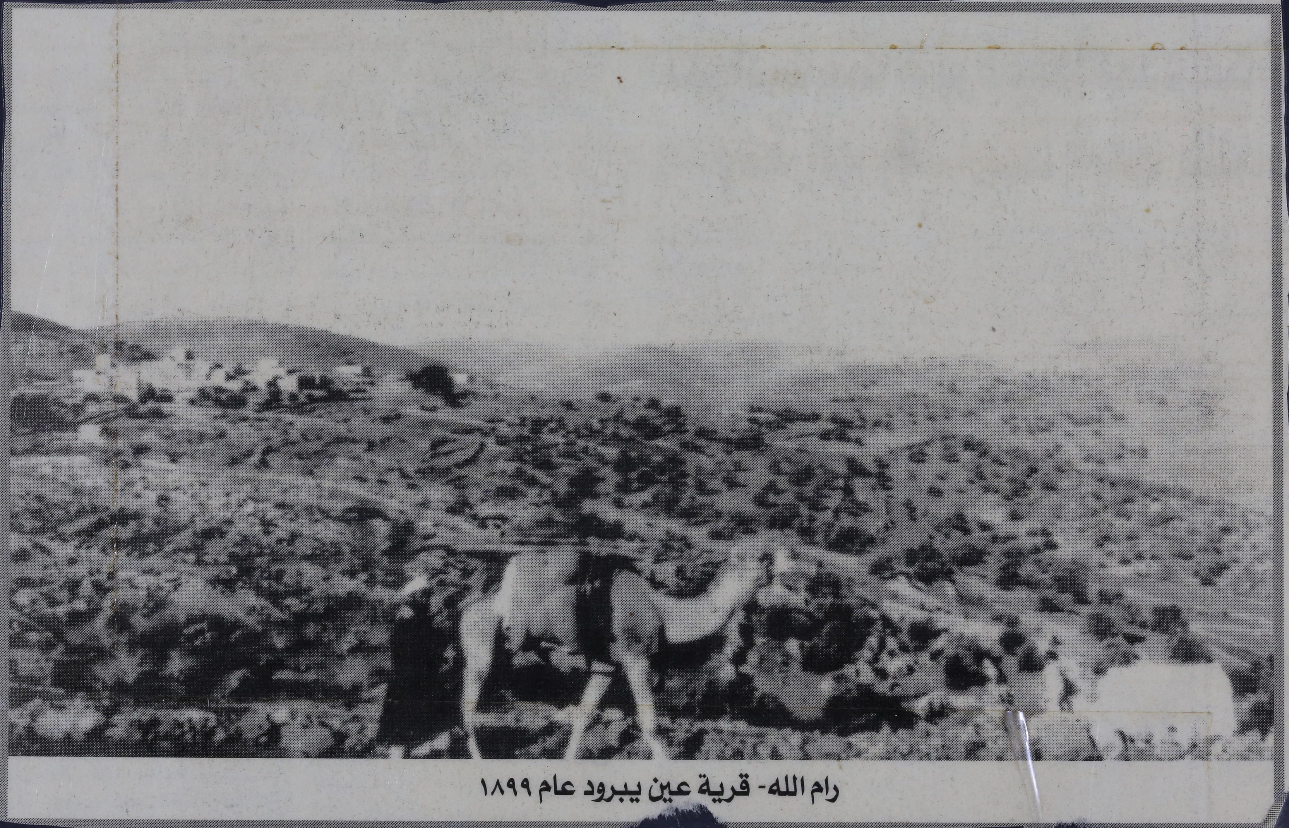 مشهد من عين يبرود